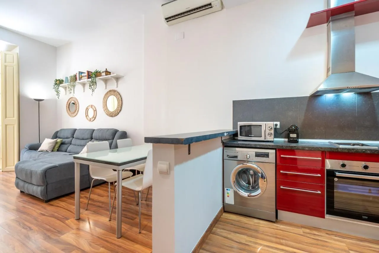 Lu&Cia Calle Strachan Malaga Apartment